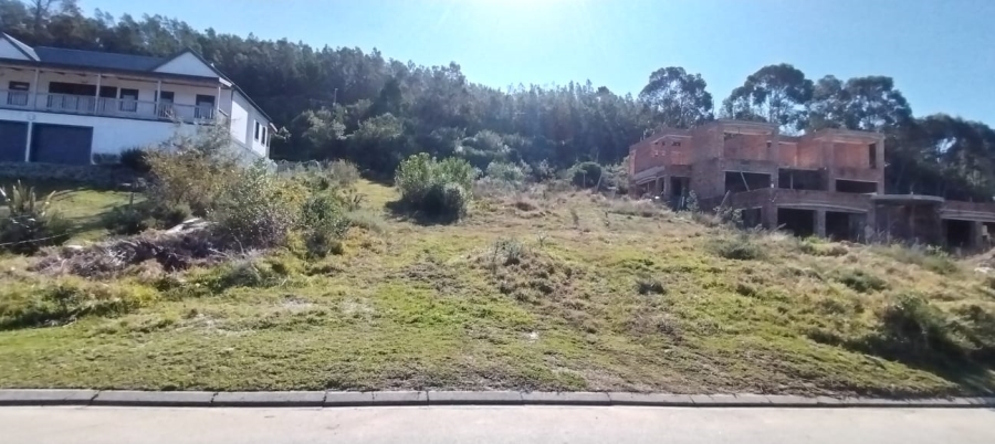 0 Bedroom Property for Sale in Green Pastures Western Cape